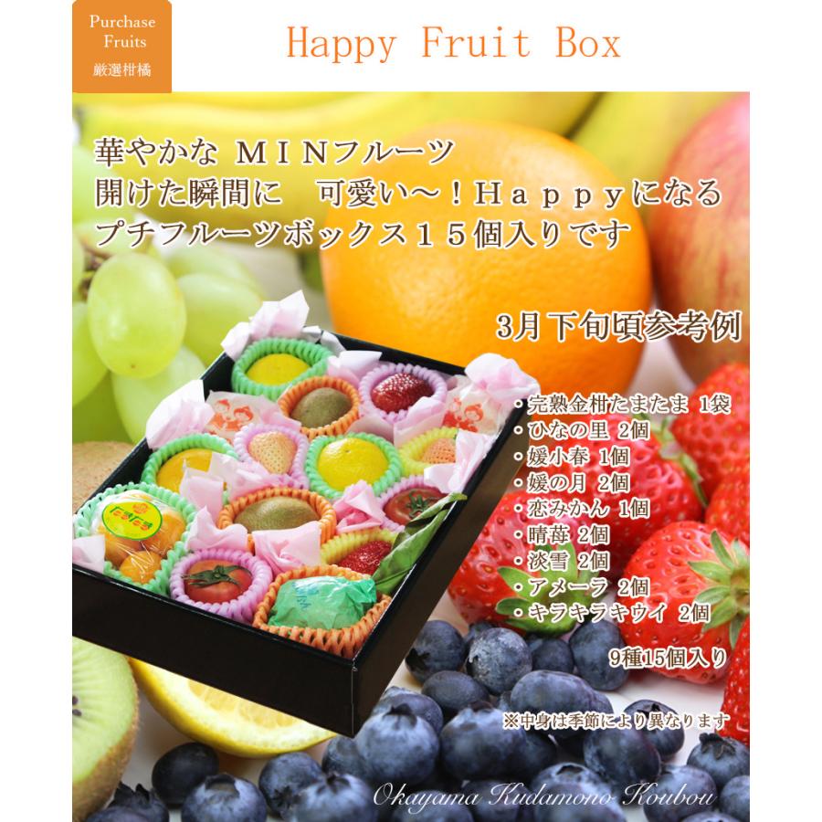ミニフルーツBOX【15個入り】 季節フルーツ 詰合せ 7-10種 贈答用