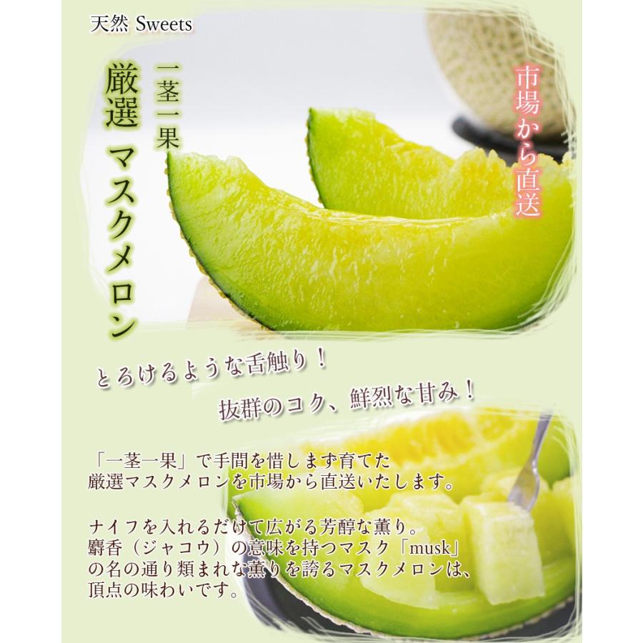 マスクメロン 大玉 1玉約1.2-1.5kg前後 純系アールスメロン 化粧箱入