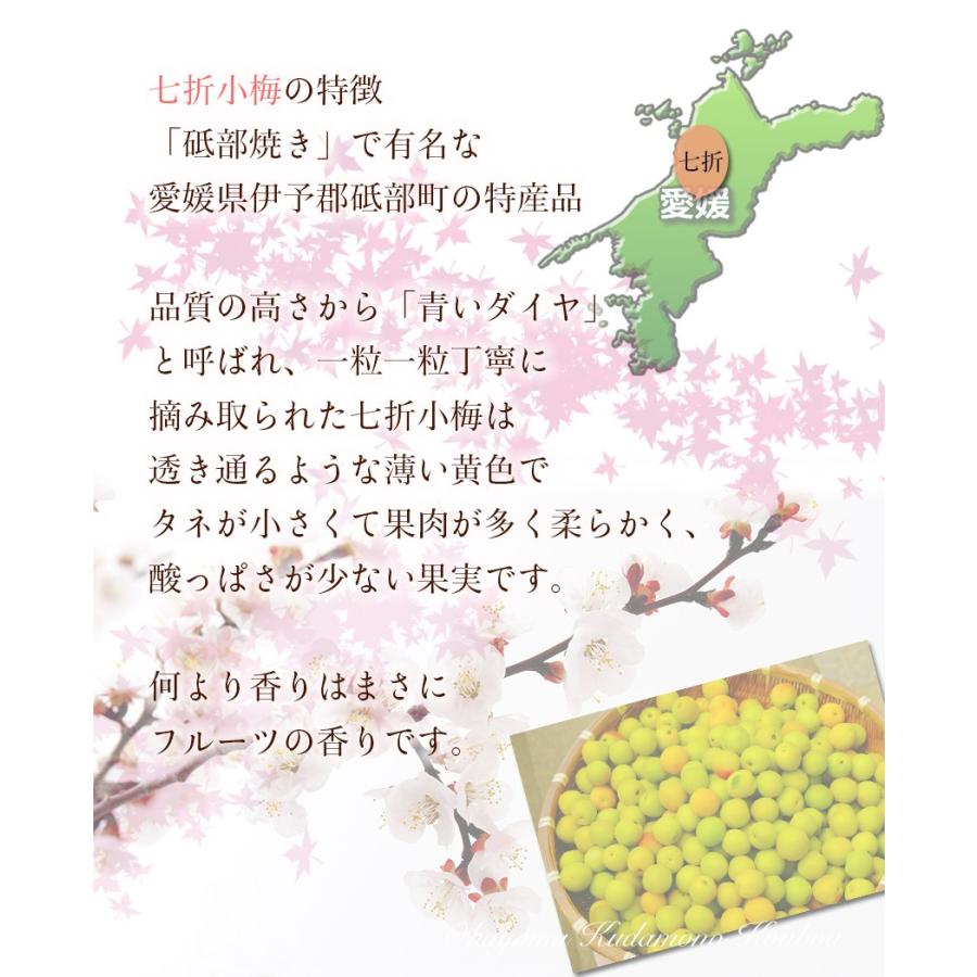 七折小梅 約2kg 秀品 大きさお任せ M-3L 小梅 愛媛県産 砥部町 JAえひめ中央 梅 うめぼし 梅酒 梅ジュース 梅ソーダ 生梅 予約5/30-6/18の間で発送