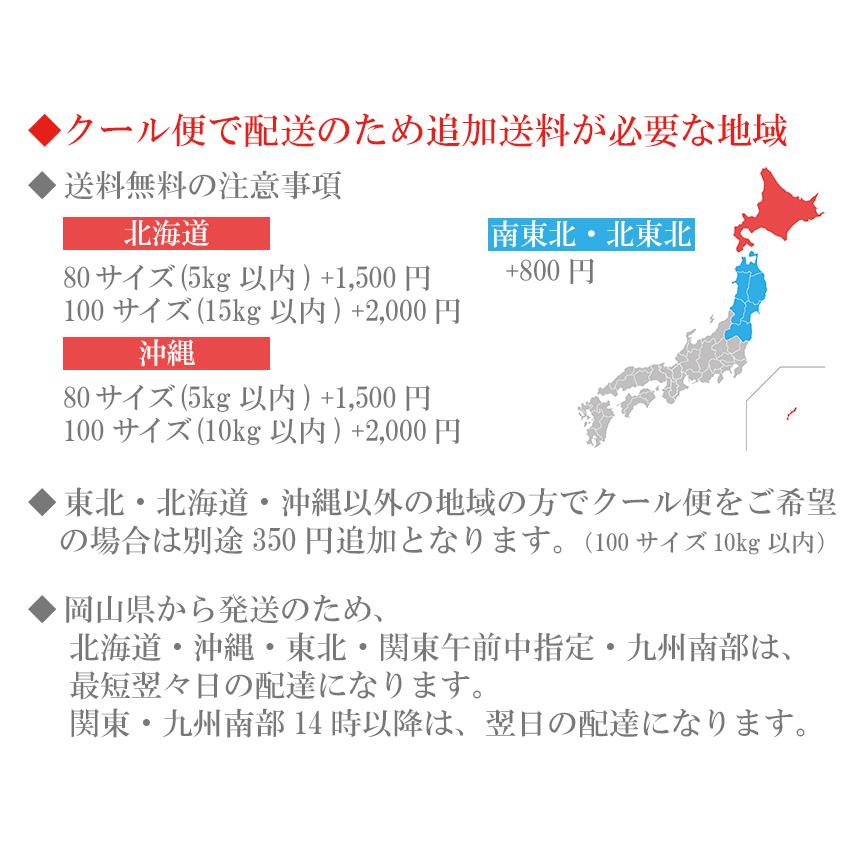 七折小梅 約2kg 秀品 大きさお任せ M-3L 小梅 愛媛県産 砥部町 JA