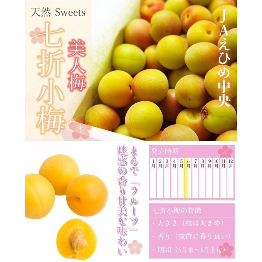 七折小梅 約8kg 秀品 大きさお任せ M-3L 小梅 愛媛県産 砥部町 JA