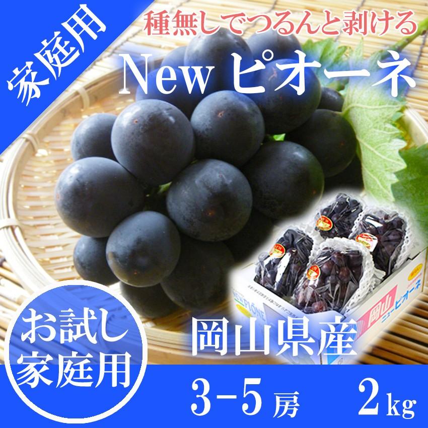 2026 ピオーネ 優品 2kg (3〜5房) 簡易包装 ご家庭用 お試し用 岡山県