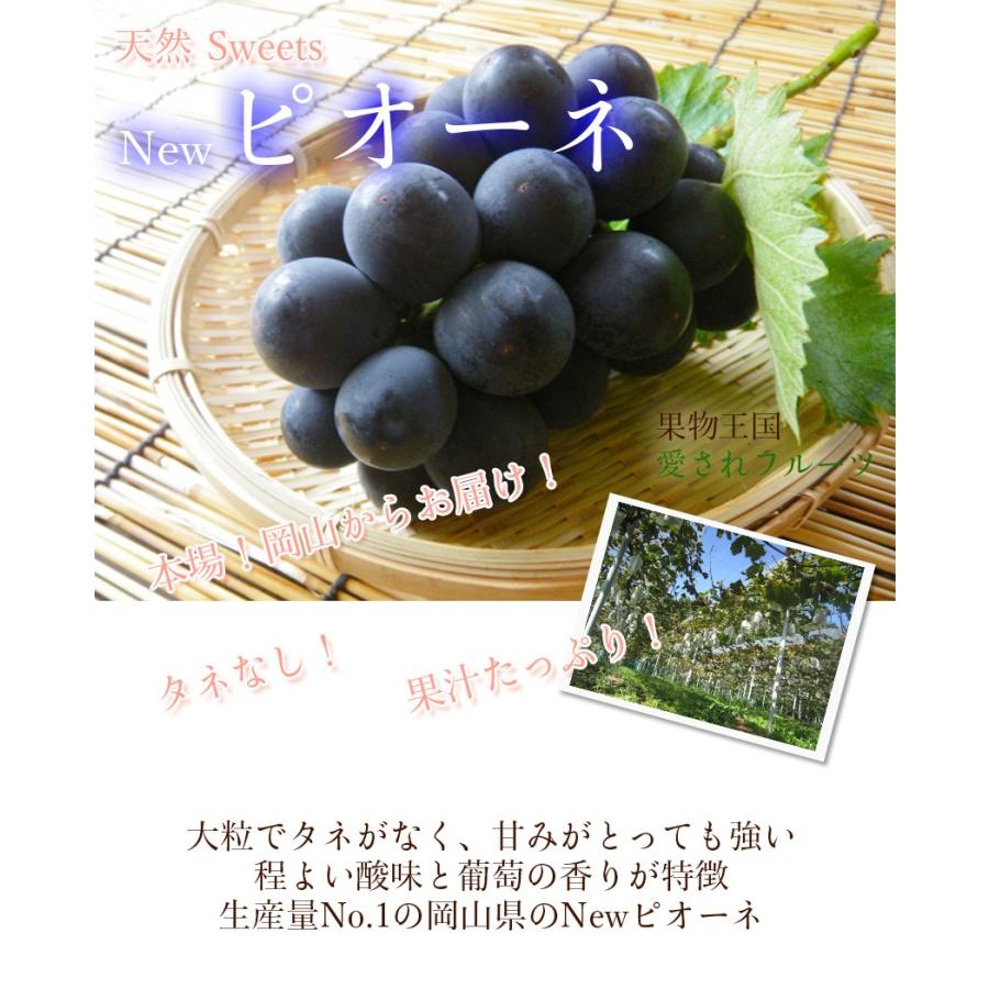 2026 ギフト 岡山県産 ピオーネ 赤秀品 1房600g 贈答用 御中元 葡萄