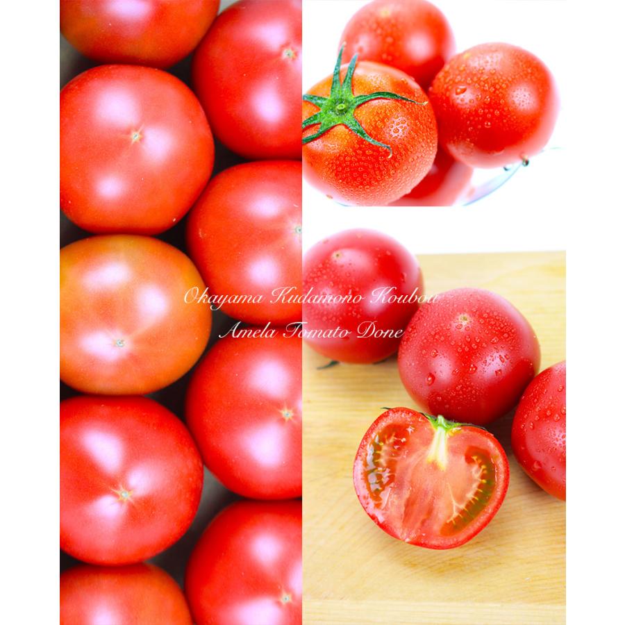 ぴーちゃん　アメーラトマト　3ケース 3ケース アメーラトマト 自信あります 高糖度 フルーツトマト - メルカリ