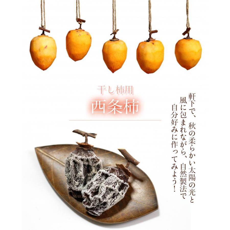 吊るし柿用 西条柿 大きさお任せ 3L〜L 約6kg 紐付き 岡山県産 島根県産 渋柿 秋ギフト スイーツ 10月下旬頃よりご注文順に発送 :saijyou6kg3l-l-01:岡山市場工房 - 通販 - Yahoo!ショッピング 吊るし柿用 西条柿 大きさお任せ 3L〜L 約6kg 紐付き 岡山県産 島根県産 渋柿 秋ギフト スイーツ 10月下旬頃よりご注文順に発送 :saijyou6kg3l-l-01:岡山市場工房 - 通販 - Yahoo!ショッピング