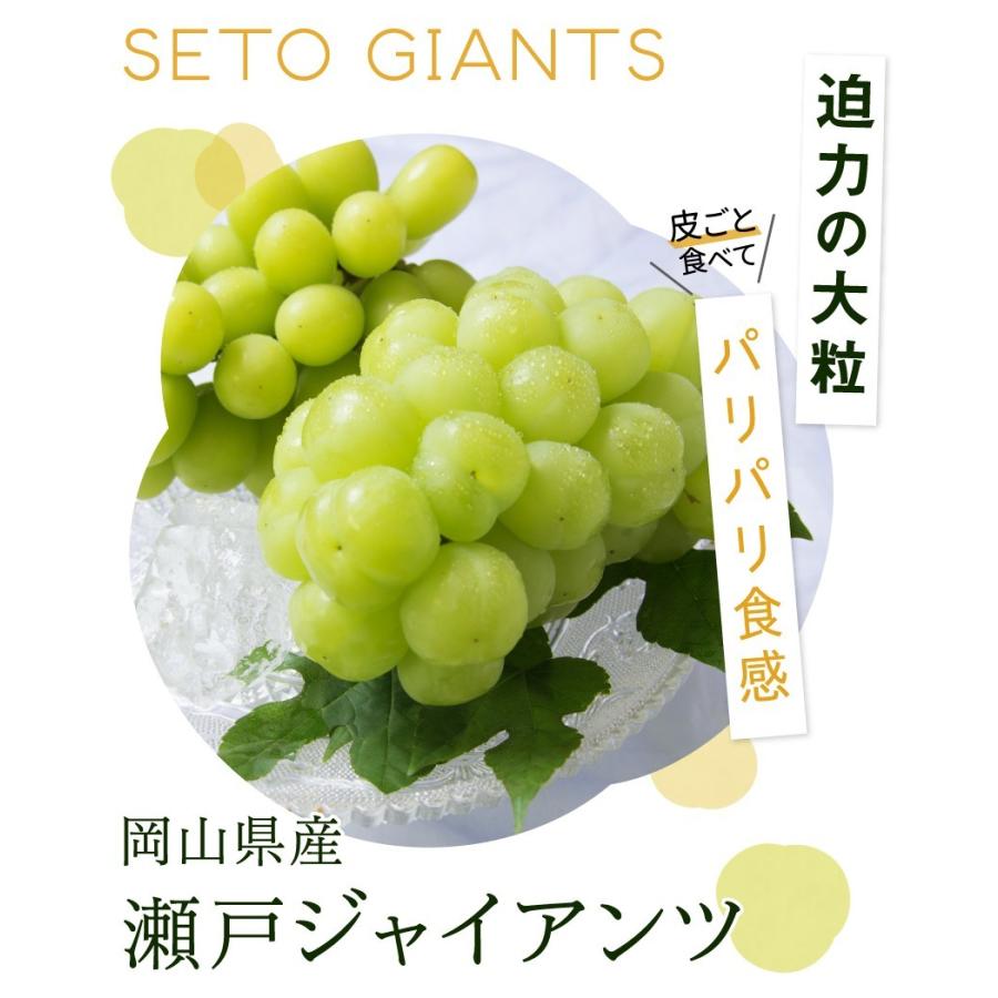 瀬戸ジャイアンツ 2~3房 約1kg 訳あり 家庭用 簡易包装 岡山県産