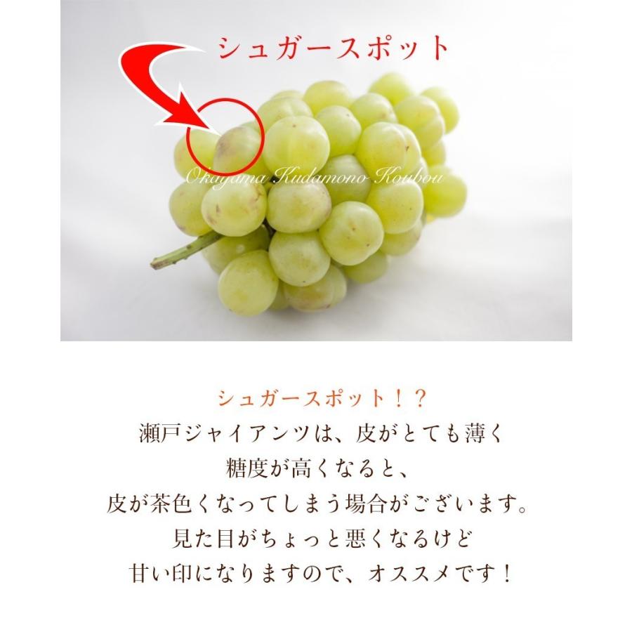 瀬戸ジャイアンツ 2~3房 約1kg 訳あり 家庭用 簡易包装 岡山県産