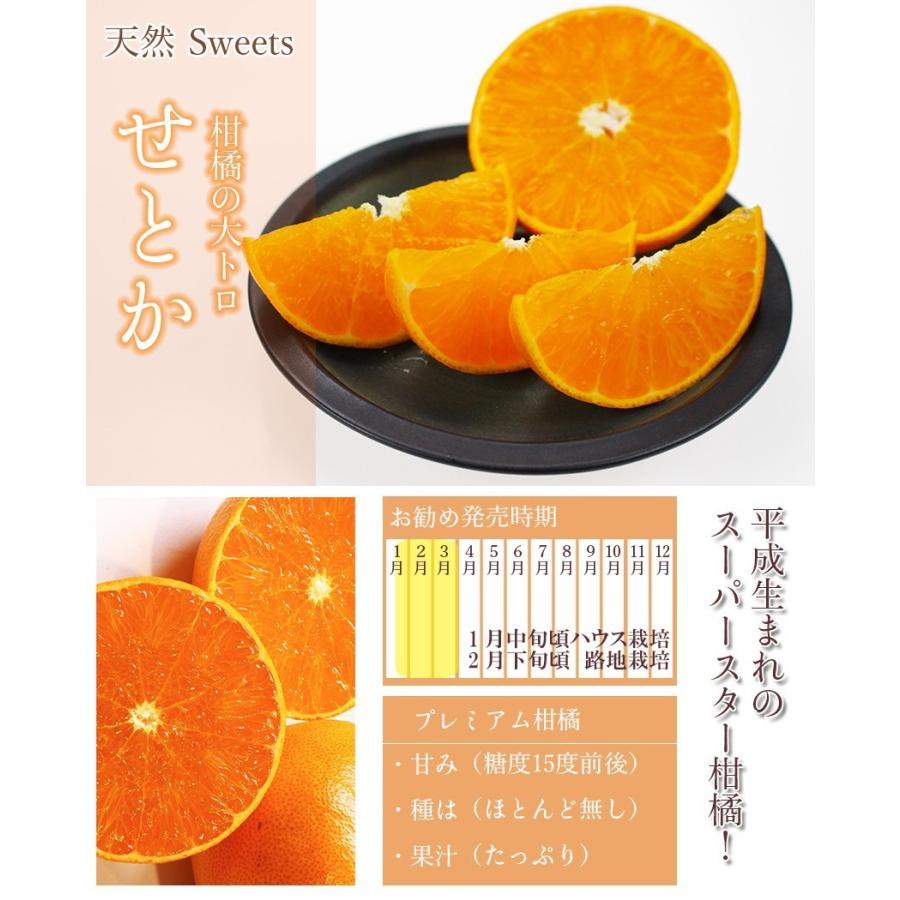 2026 ギフト せとか 青秀 3L3玉 贈答用 愛媛県 中島 東予 西宇和 JA