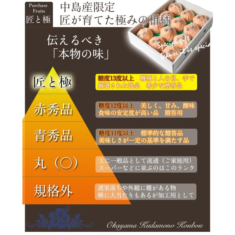 せとか 匠と極 大玉 3L 1.3kg 贈答用 愛媛県 中島産 みかん JA せとか 匠と極 大玉 3L 1.3kg 贈答用 愛媛県 中島産 みかん JA