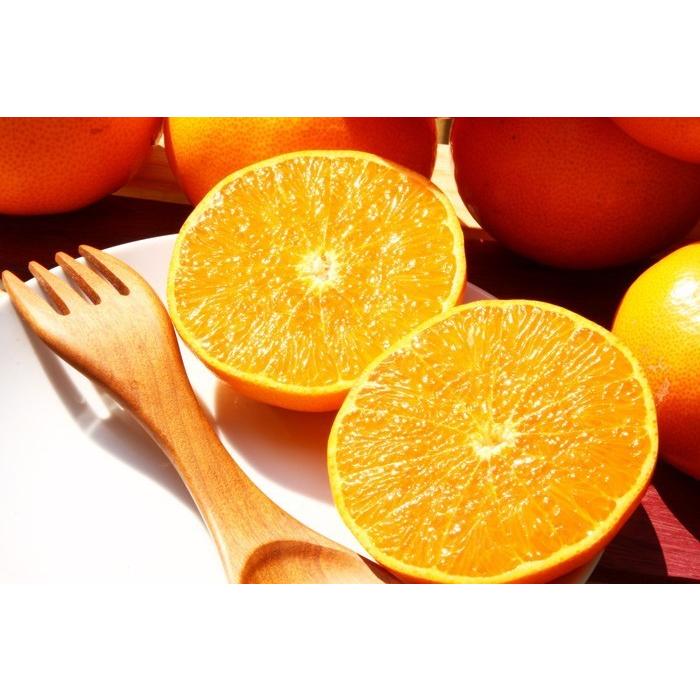 せとか 赤秀 匠と極 3L-4L 約3kg 贈答用 愛媛県 中島産 みかん