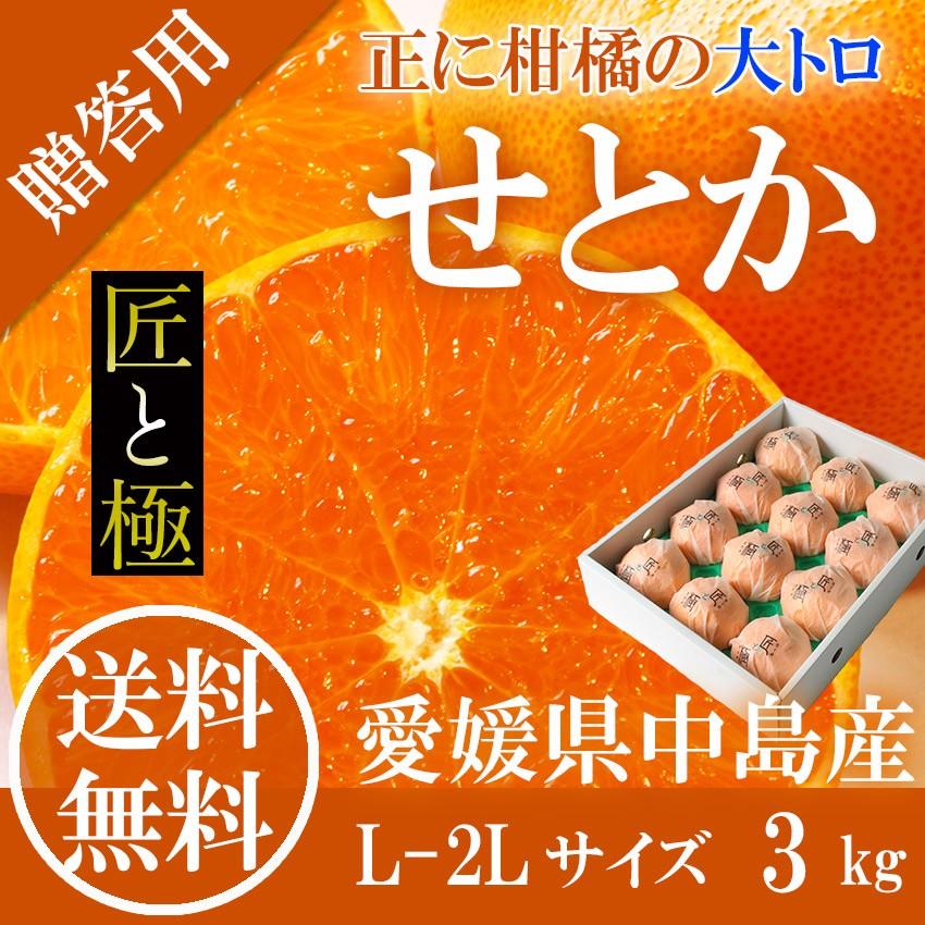 せとか 赤秀 匠と極 L-2L 約3kg 贈答用 愛媛県 中島産 みかん JA せとか 赤秀 匠と極 L-2L 約3kg 贈答用 愛媛県 中島産 みかん JA