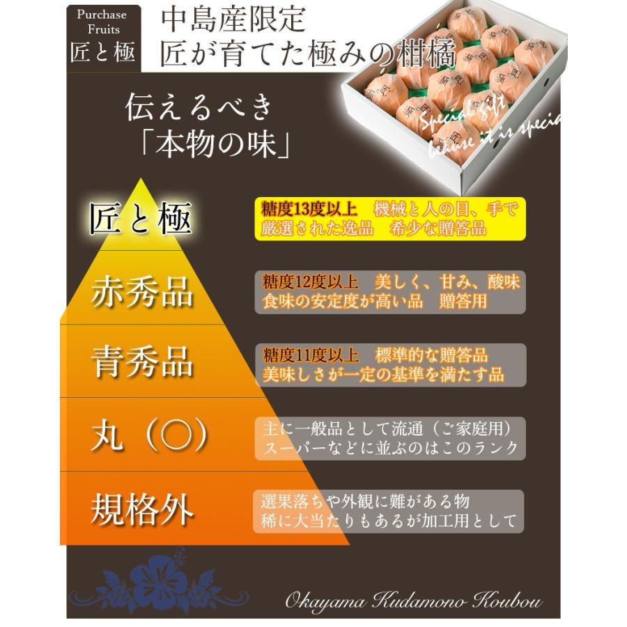 せとか 赤秀 匠と極 L-2L 約3kg 贈答用 愛媛県 中島産 みかん JA せとか 赤秀 匠と極 L-2L 約3kg 贈答用 愛媛県 中島産 みかん JA
