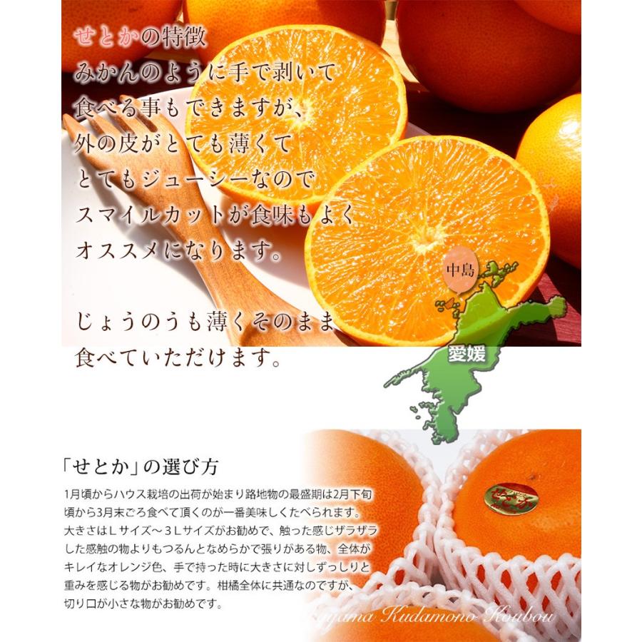 せとか 匠と極 2Lサイズ6玉 贈答用 愛媛県 中島産 みかん JAえひめ