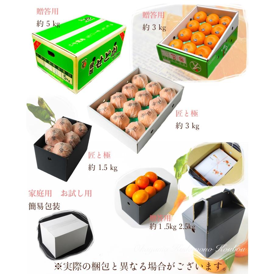 愛媛産せとか　お得なセット2Lサイズ✕２箱　計10キロ（箱込み） せとか 匠と極 2Lサイズ6玉 贈答用 愛媛県 中島産 みかん JAえひめ