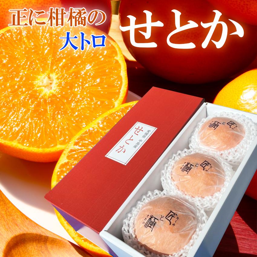 せとか 匠と極 3L3玉 贈答用 愛媛県 中島産 みかん JAえひめ中央