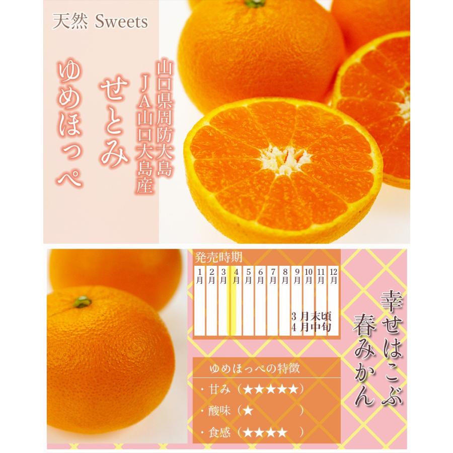 みかん せとみ ( ゆめほっぺ 同品種)5kg 秀品大きさおまかせ みかん せとみ ( ゆめほっぺ 同品種)5kg 秀品大きさおまかせ
