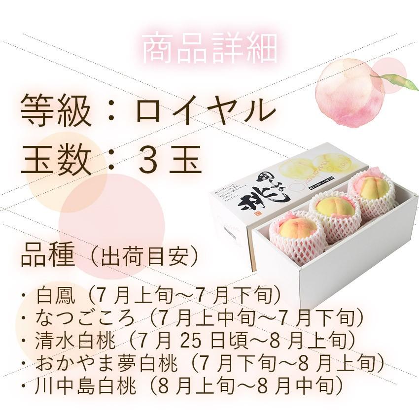 2026 お中元 ギフト 清水白桃 ロイヤル 大玉 3玉入り 約900g 贈答用 赤
