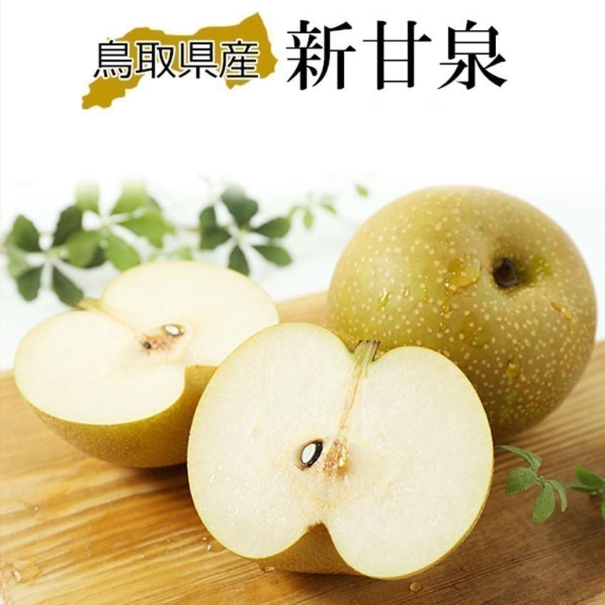梨 新甘泉 しんかんせん 青秀 4L〜2Lサイズ 10-16玉 約5kg 贈答用