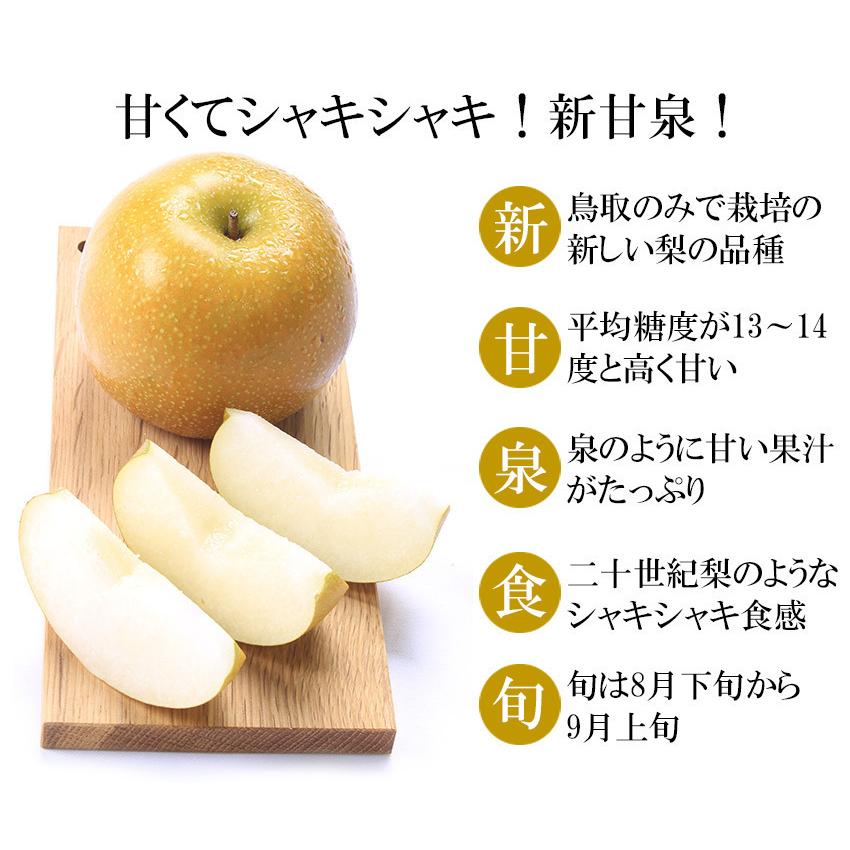 梨 新甘泉 しんかんせん 青秀 4L〜2Lサイズ 10-16玉 約5kg 贈答用