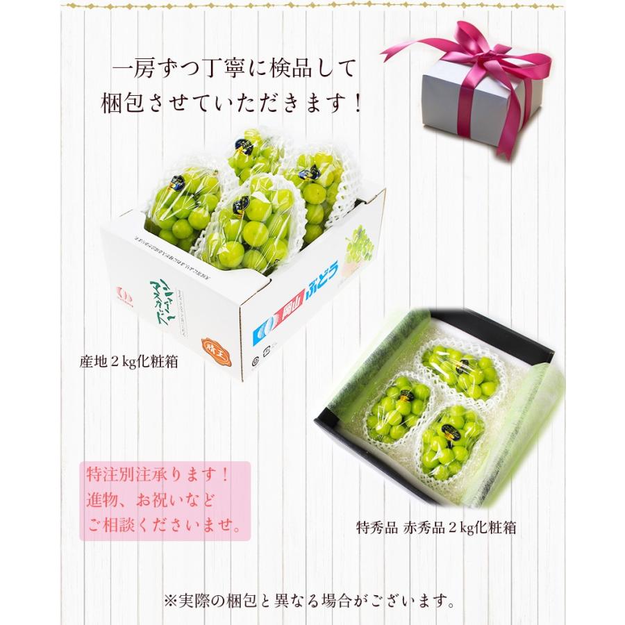 2022 ギフト 岡山県産 シャインマスカット 晴王 青秀品 2kg(3〜5房) 贈答用 御中元 葡萄 ぶどう ブドウ プレゼント 御礼 御祝 御供 果物 フルーツ :syain35-2kg-02:岡山市場工房 - 通販 - Yahoo!ショッピング 2022 ギフト 岡山県産 シャインマスカット 晴王 青秀品 2kg(3〜5房) 贈答用 御中元 葡萄 ぶどう ブドウ プレゼント 御礼 御祝 御供 果物 フルーツ :syain35-2kg-02:岡山市場工房 - 通販 - Yahoo!ショッピング