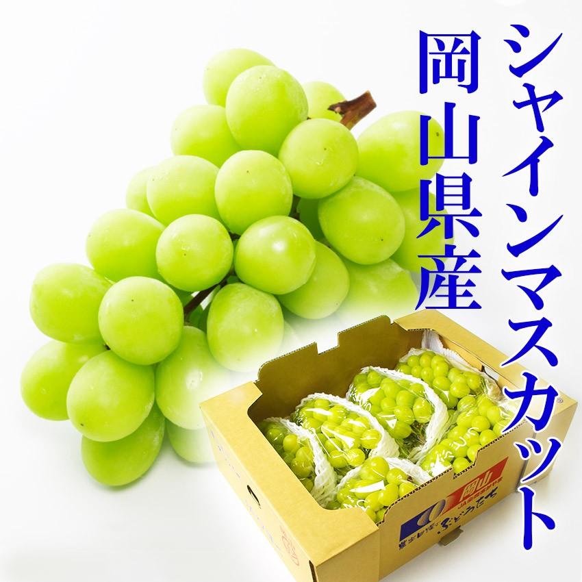 2024 お試し用 岡山県産 シャインマスカット 晴王 優品 5kg(5〜10房 