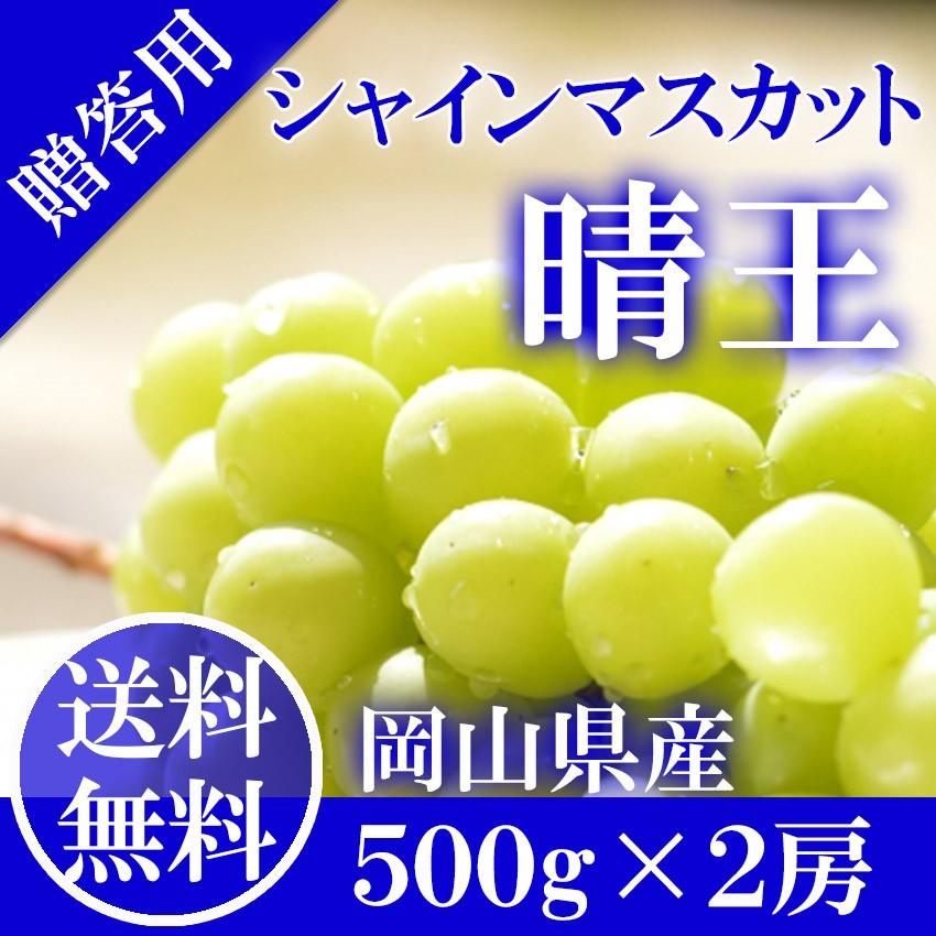 2024 ギフト 岡山県産 シャインマスカット 晴王 青秀品 2房（500g×2） 贈答用 御中元 葡萄 ぶどう ブドウ プレゼント 御礼 御祝 御供 果物 フルーツ｜ichiba-koubou