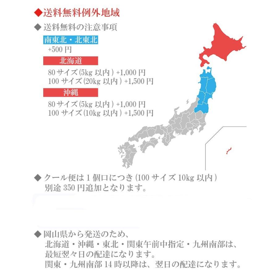 2021 ギフト 岡山県産 シャインマスカット 晴王 青秀品 2房500g 2 贈答用 葡萄 ブドウ ぶどう 御礼 御祝 フルーツ Syain500g 2 02 岡山市場工房 通販 Yahoo ショッピング