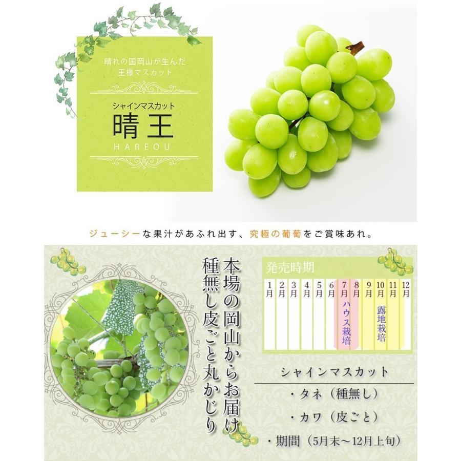 2025 ギフト 岡山県産 シャインマスカット 晴王 青秀品 1房600g 贈答用 御中元 葡萄 ぶどう ブドウ プレゼント 御礼 御祝 御供 果物 フルーツ