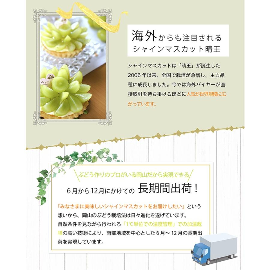2026 ギフト 岡山県産 シャインマスカット 晴王 青秀品 2房（600g×2