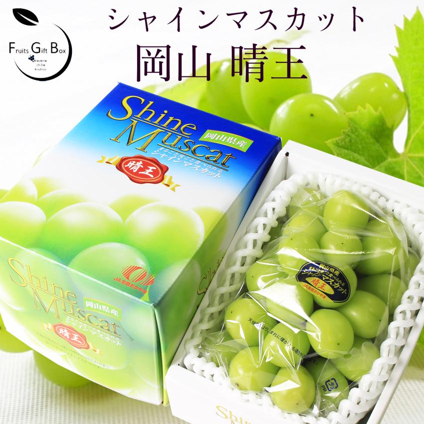 2022 ギフト 岡山県産 シャインマスカット 晴王 赤秀品 1房700g 贈答用 御中元 御歳暮 葡萄 ぶどう ブドウ プレゼント 御礼 御祝 御供 果物 くだもの フルーツ :syain700g-01-2:岡山市場工房 - 通販 - Yahoo!ショッピング 2022 ギフト 岡山県産 シャインマスカット 晴王 赤秀品 1房700g 贈答用 御中元 御歳暮 葡萄 ぶどう ブドウ プレゼント 御礼 御祝 御供 果物 くだもの フルーツ :syain700g-01-2:岡山市場工房 - 通販 - Yahoo!ショッピング