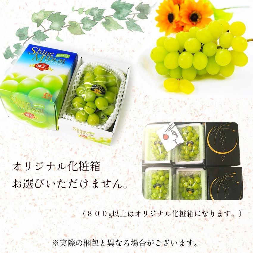 2024 ギフト 岡山県産 シャインマスカット 晴王 赤秀品 1房700g 贈答用 御中元 御歳暮 葡萄 ぶどう ブドウ プレゼント 御礼 御祝 御供 果物 くだもの フルーツ