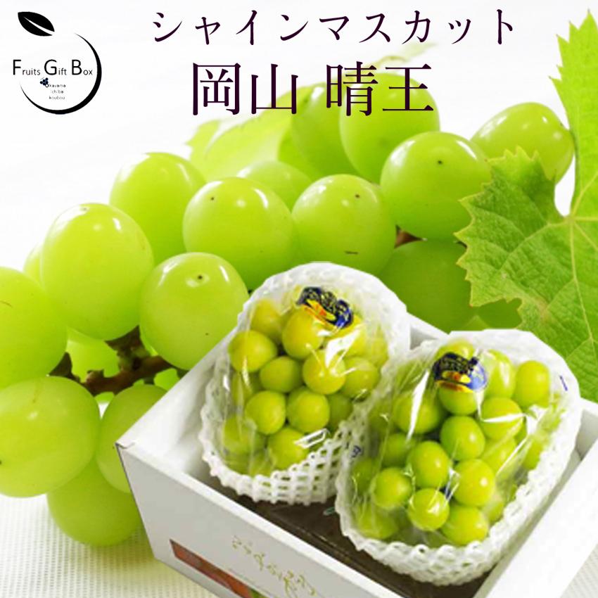 2026 ギフト 岡山県産 シャインマスカット 晴王 赤秀品 2房（700g×2