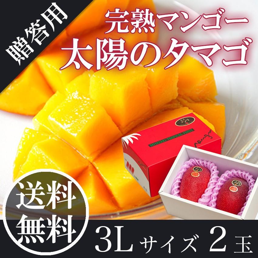 2026 ギフト 太陽のタマゴ 大玉3L 2玉 青秀品 宮崎県 完熟マンゴー 母