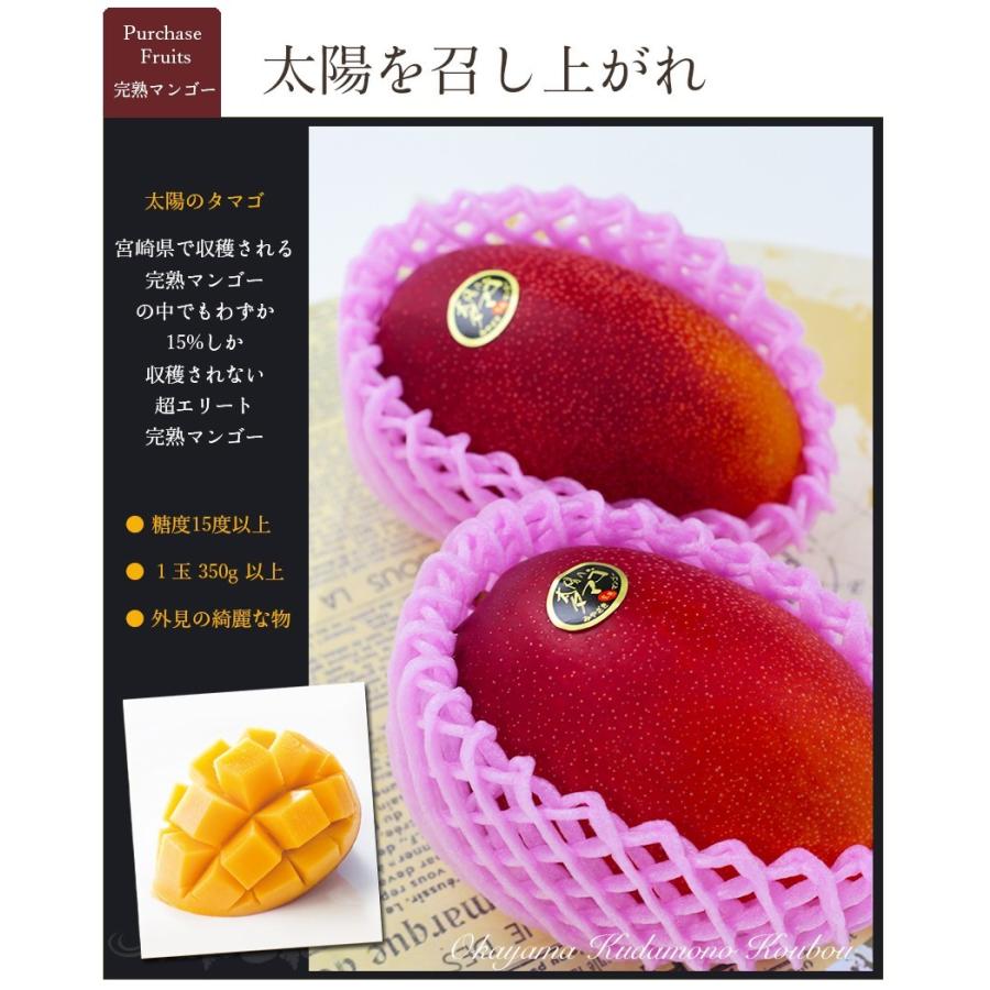 2026 ギフト 太陽のタマゴ 大玉3L 2玉 青秀品 宮崎県 完熟マンゴー 母