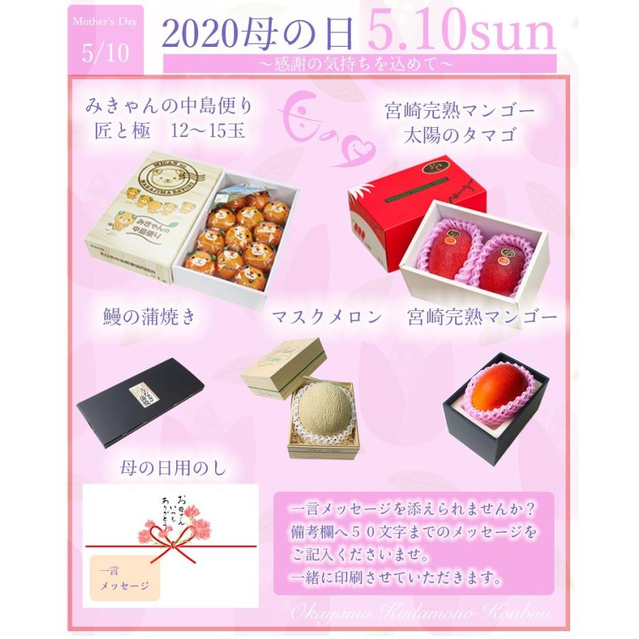5L玉 超特大玉【宮崎県 完熟マンゴー】3玉入 お中元 父の日 コンペ 誕生日 2026 ギフト 太陽のタマゴ 大玉3L 2玉 青秀品 宮崎県 完熟マンゴー 母