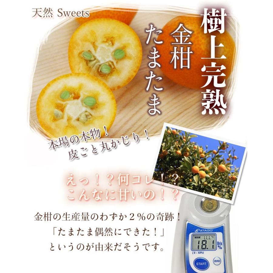 完熟きんかん たまたま 特大玉2L-3L 3kg 赤秀（A等級）宮崎県産 贈答