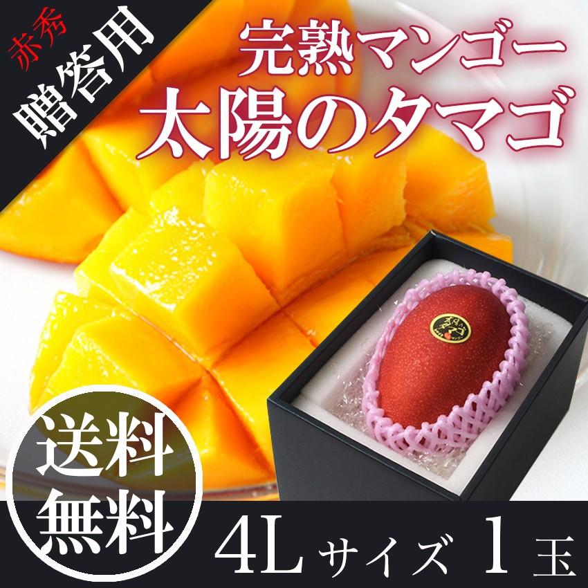 2026 ギフト 太陽のタマゴ 大玉4L1玉 500g 赤秀品 宮崎県 完熟マンゴー