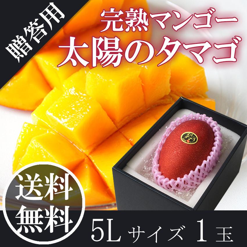 超希少！ 太陽のタマゴ 完熟マンゴー 大玉5L1玉 650g以上 秀品 宮崎県