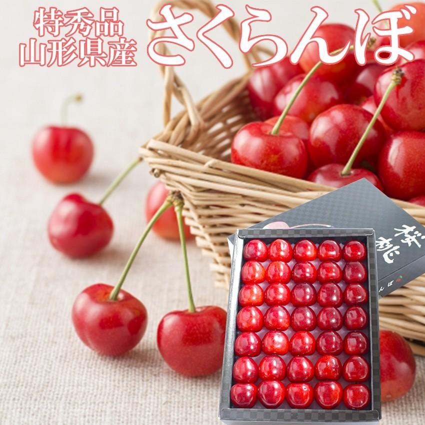すぐ発送 山形県産 ハウス さくらんぼ 300g 特秀品 特大 3Lサイズ 紅