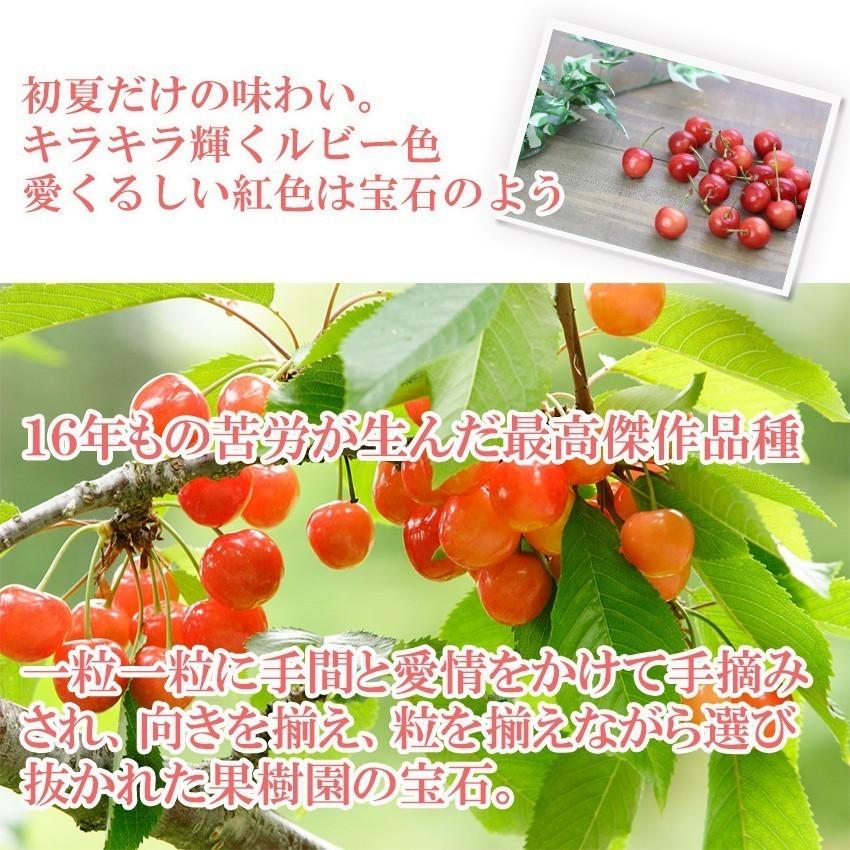 すぐ発送 山形県産 ハウス さくらんぼ 300g 特秀品 特大 3Lサイズ 紅