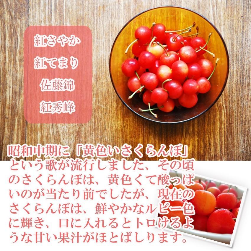 すぐ発送 山形県産 ハウス さくらんぼ 300g 特秀品 特大 3Lサイズ 紅