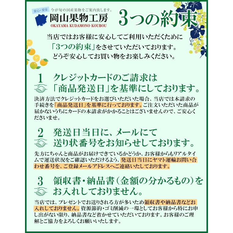 季節の柑橘 詰め合わせ 柑橘3種類6個入り 贈答用 みかん JA ミカン 