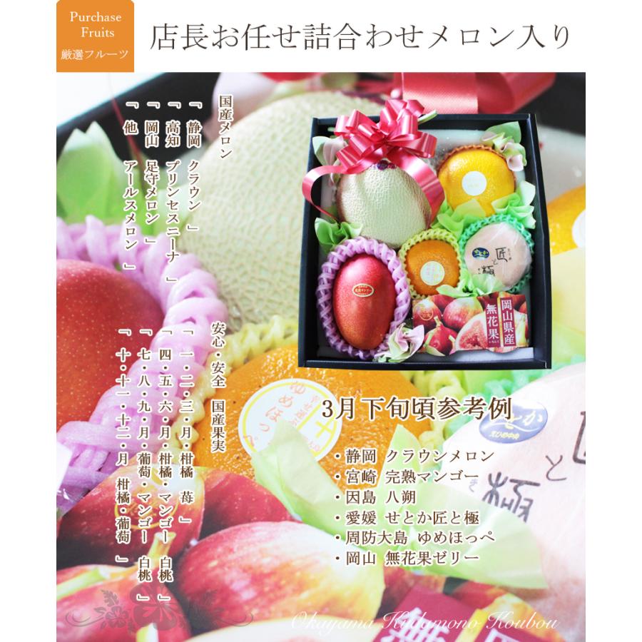 季節のフルーツ 詰め合わせ マスクメロン入り （画像送信サービス付き