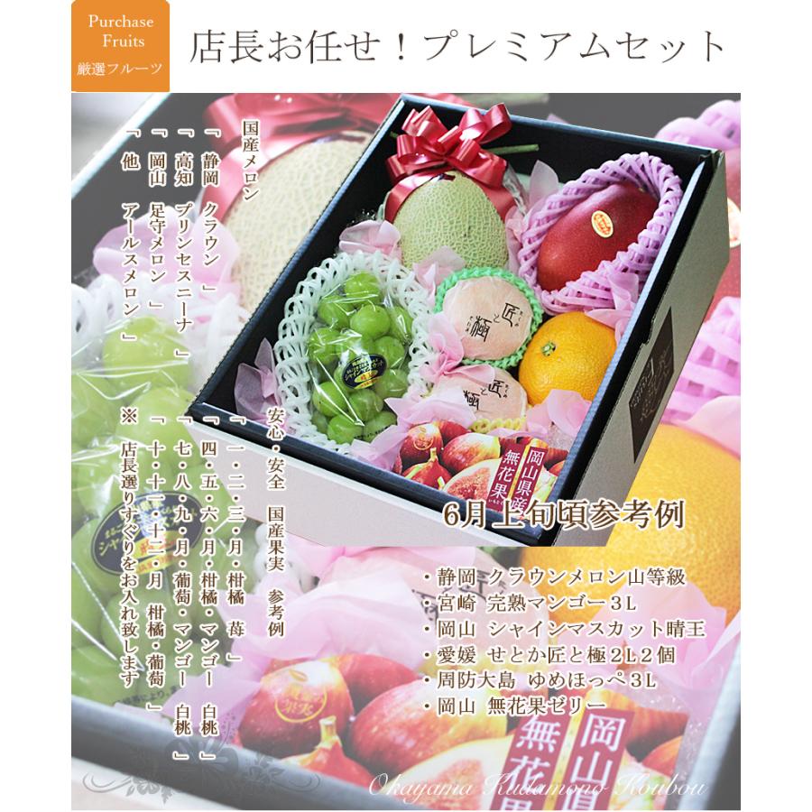 季節のフルーツ 詰め合わせ プレミアムセット （画像送信サービス付き
