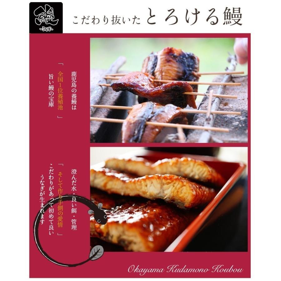 鹿児島県産 特大 うなぎ 蒲焼 ハーフカット100g×４（合計約400g） 真空パック入り 国産 贈答用 ギフト 夏ギフト プレゼント 御中元 御歳暮｜ichiba-koubou｜02