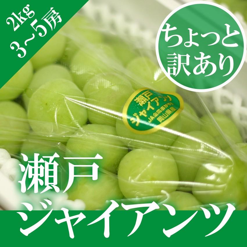 訳あり 瀬戸ジャイアンツ 3~5房 約2kg 家庭用 簡易包装 岡山県産