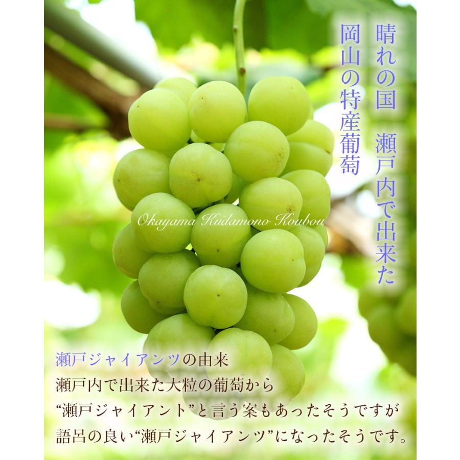 3.家庭用【瀬戸ジャイアンツ(桃太郎)化粧箱2Ｋｇ】4房~5房 訳あり 瀬戸ジャイアンツ 3~5房 約2kg 家庭用 簡易包装 岡山県産