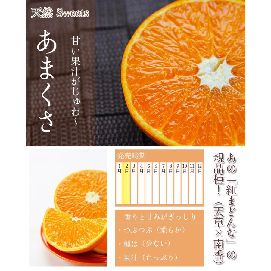 ディヴァインクロス 俺の有休恋物語 天草 果南 天草 響SEC 2枚セット 佐賀県 JAからつ 天草(あまくさ) 秀品 約2.5キロ(12玉から15玉) 化粧箱