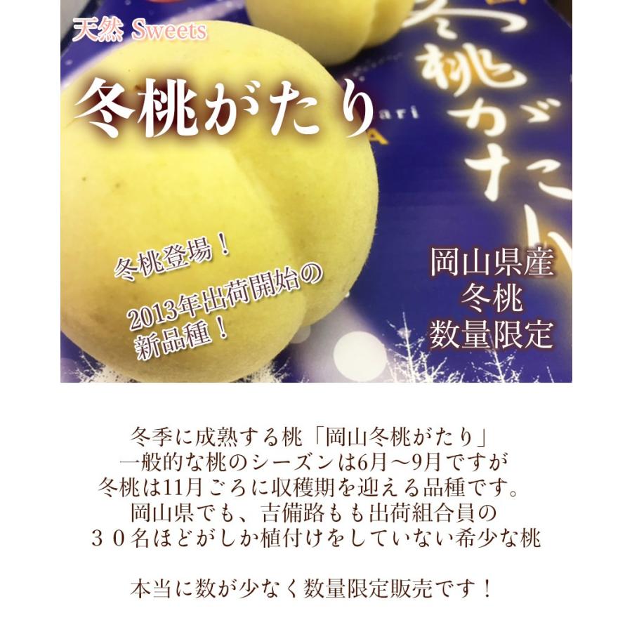 2023 お試し用  岡山 の 白桃 冬桃がたり 訳あり2玉 約400g以上 家庭用 天然 スイーツ フルーツ 【11月下旬ごろより発送】｜ichiba-koubou｜02