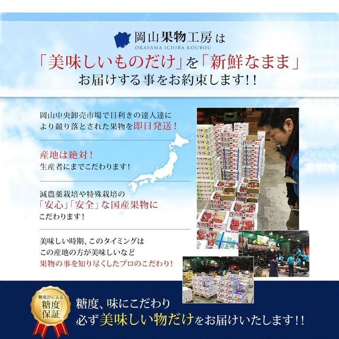 2023 お試し用  岡山 の 白桃 冬桃がたり 訳あり2玉 約400g以上 家庭用 天然 スイーツ フルーツ 【11月下旬ごろより発送】｜ichiba-koubou｜05